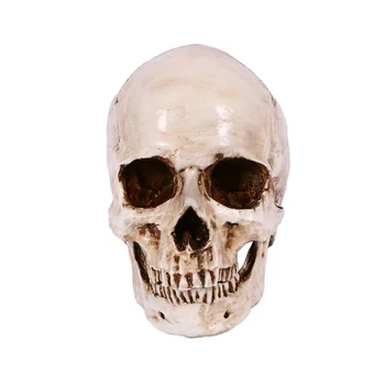Реквизит для декора черепа, голова скелета, модель 1: 1, Дом с привидениями в стиле Хэллоуина, вечерние Украшения для дома, фестивальные принадлежности