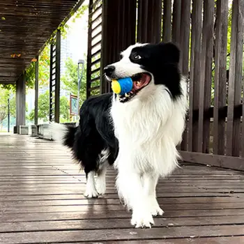 Игрушечный мяч для собак, Резиновый Скрипучий Собачий Мяч, Гибкий, избавляющий от Скуки, Забавная игра, Тренировка, Интерактивная Игрушка для собак
