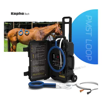 Магавейв Для лошадей Магнит Биомагнетизм Терапия Иглоукалывание Оборудование для магнитотерапии лошадей