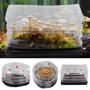 1 шт. Набор для выращивания грибов, сумка для выращивания съедобных грибов, надувной домик для посадки грибов с фильтром-заглушкой, Прозрачный контейнер для сеялки